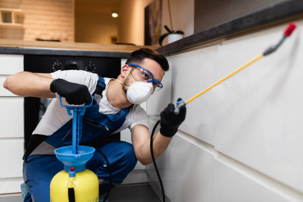 Best Cockroach Control Services  in New Sarpy, LA