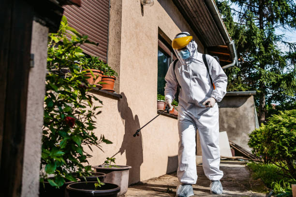Best Affordable Pest Control Services  in New Sarpy, LA