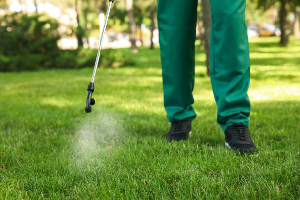Best Best Pest Control Companies  in New Sarpy, LA