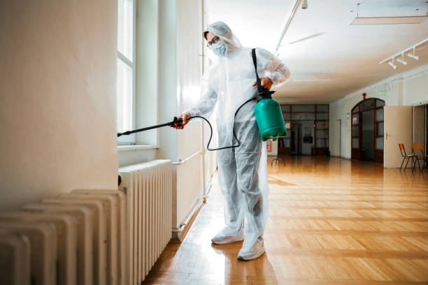 Best Pest Inspection Near Me  in New Sarpy, LA